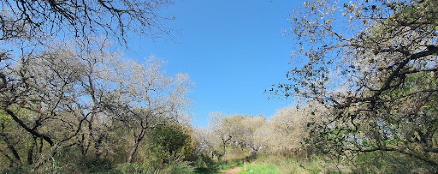 Aloney Yitzhak nature reserve