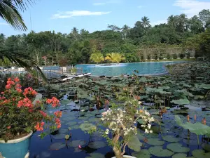 Armaya Nature