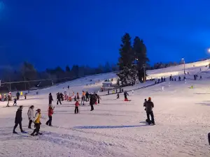 Ruosniemen ski resort