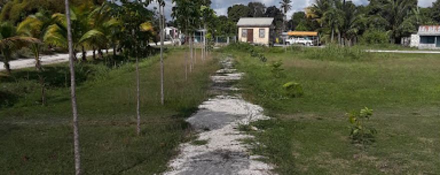Marcus Canul Square Garden