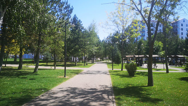 Children's playground