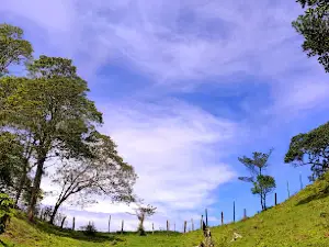 Piedra Capira