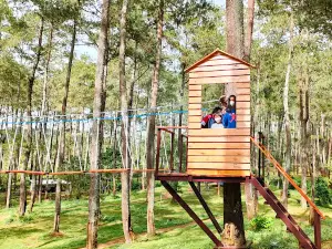 Garuda HuHa Cozyland