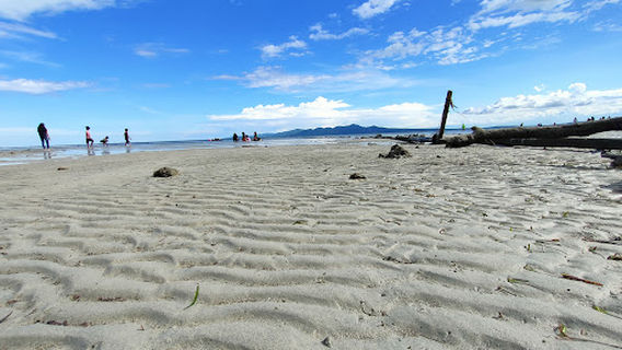 Searenity beach resort