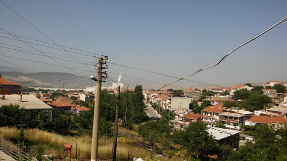Altan Tuna Parkı