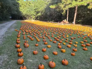 Holiday Farms