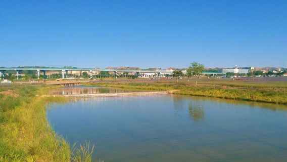 Lanzhou Zhongchuan Airport Lavender Park