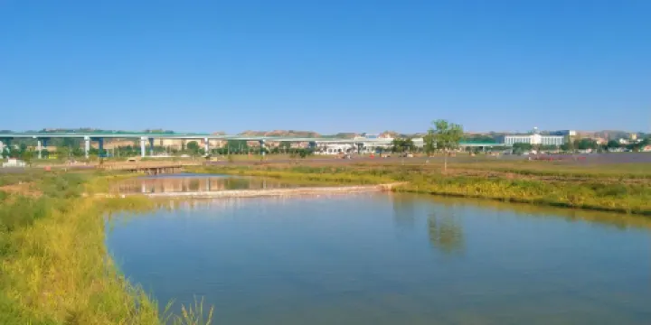 蘭州中川機場薰衣草公園