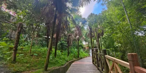 三大紀律·六項注意頒佈地景區