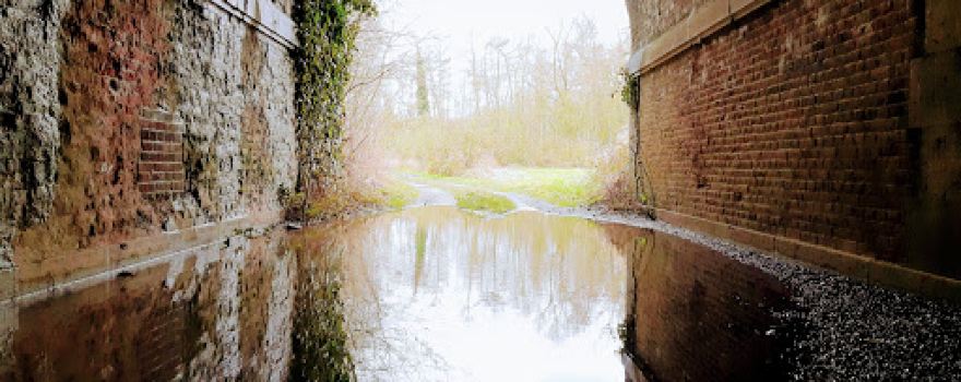 Réserve naturelle de Labuissière