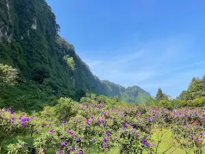 Curug Ngebul