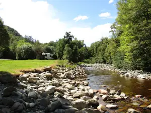 Slab Hut Creek Camping Area
