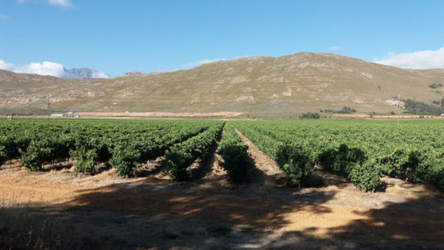 Skilpadfontein Private Campsite