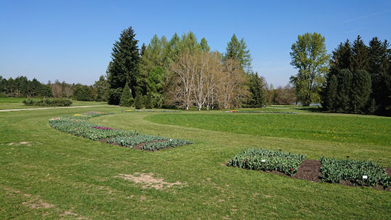 Ovocná a zeleninová zahrada