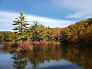 Leominster State Forest