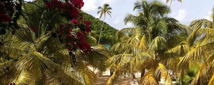 Carlisle Bay