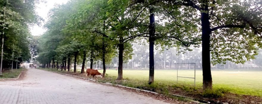 Tejli Stadium
