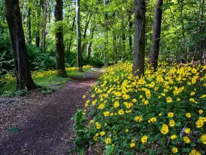 Tulsi Park