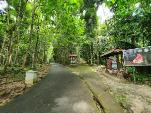 Budo Su-Ngai Padi National Park