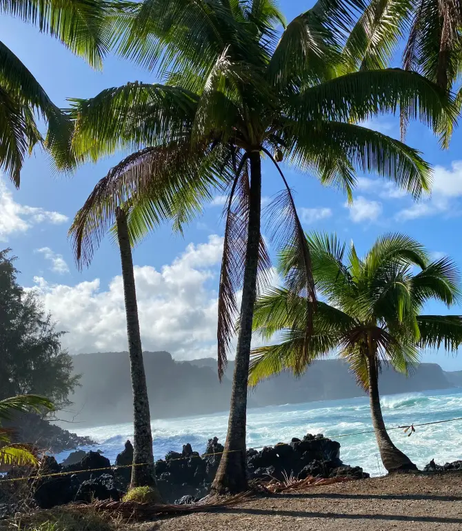 Paia