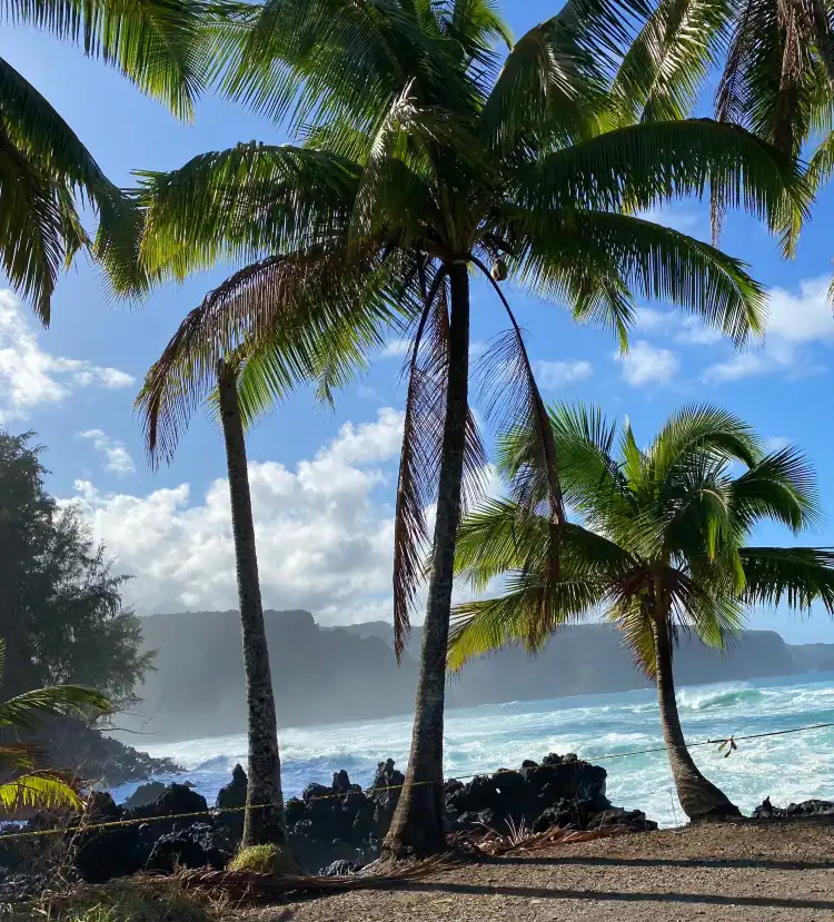 Hôtels à : Paia