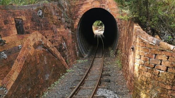 Driving Creek Railway