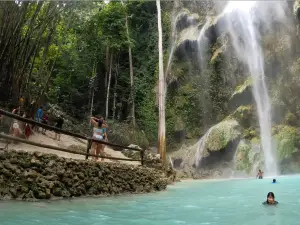 Tumalog Waterfalls