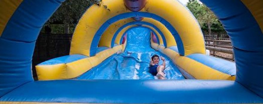 Bugz Playpark
