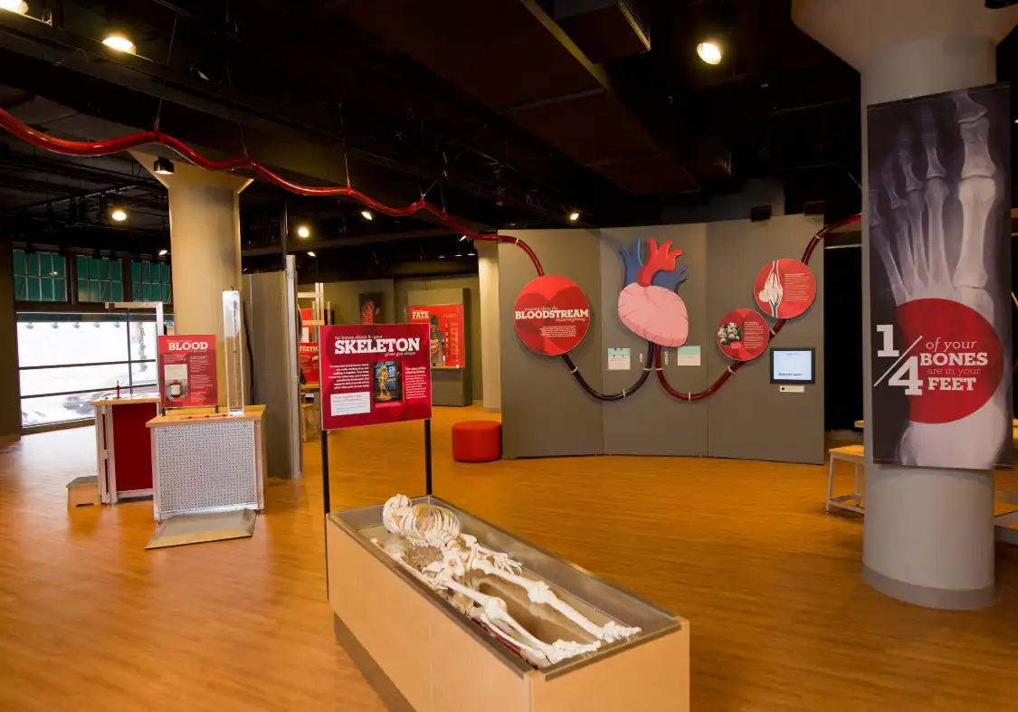 Hotels near Museum of Discovery