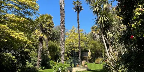 Abbotsbury Subtropical Gardens
