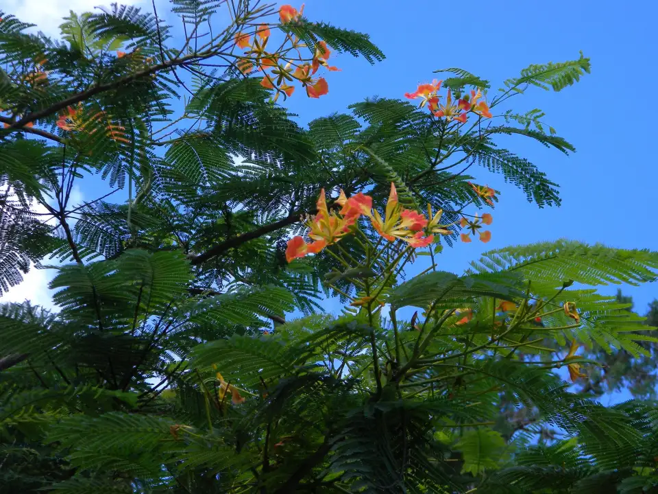 3_Parque Mitre