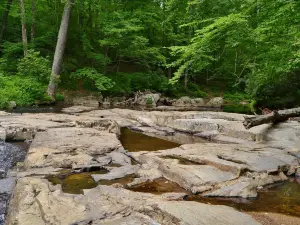 Prince William Forest Park