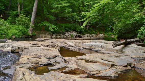 Prince William Forest Park