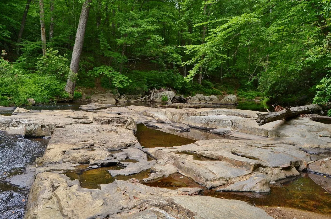 Prince William Forest Park