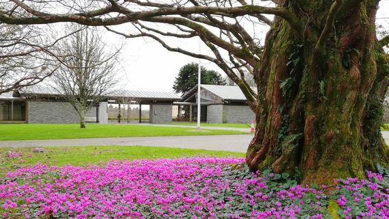 Arboreto John F. Kennedy
