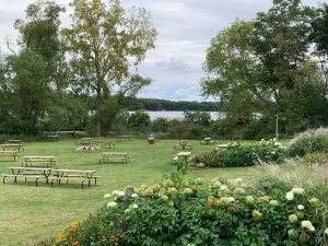 Pine Tree Apple Orchard