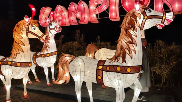 Batu Night Spectacular (BNS)