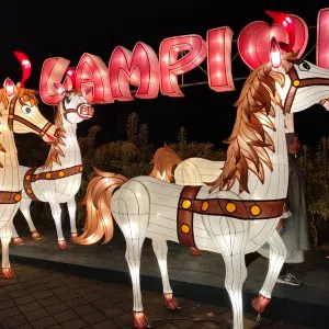 Batu Night Spectacular