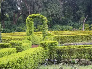 Yercaud Rose Garden