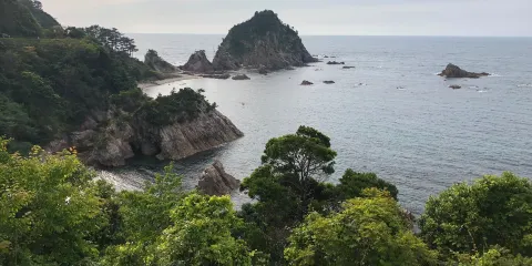 菜種島