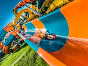 The Big Banana Fun Park