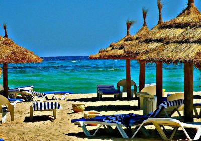 Hammamet Sud
