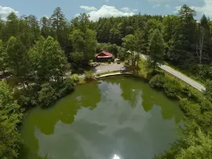 The Lilly Pad Village