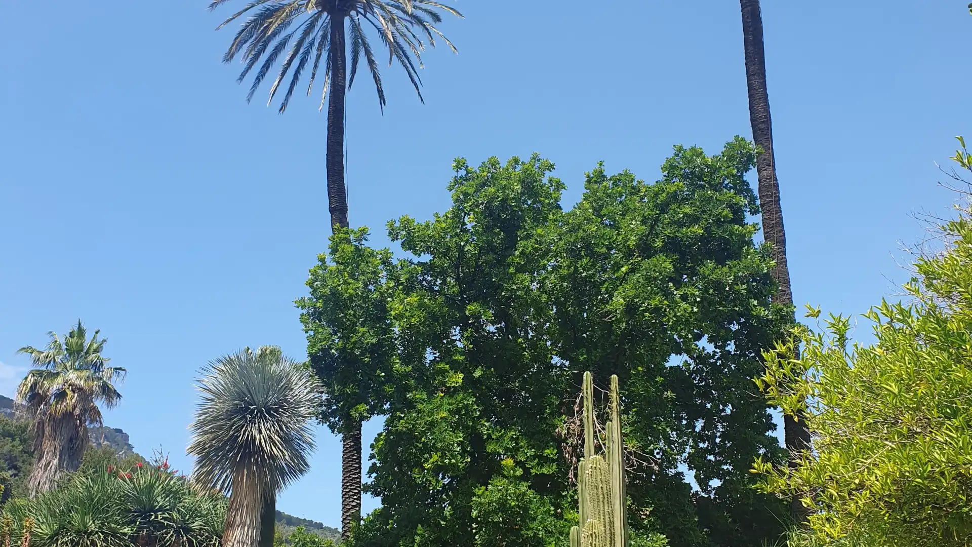 Hotels near Jardi Botanic de Soller