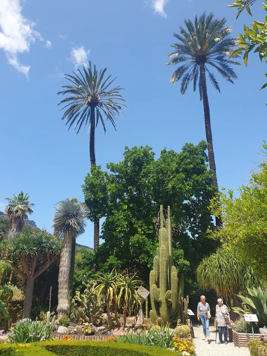 Hotel dekat Jardi Botanic de Soller