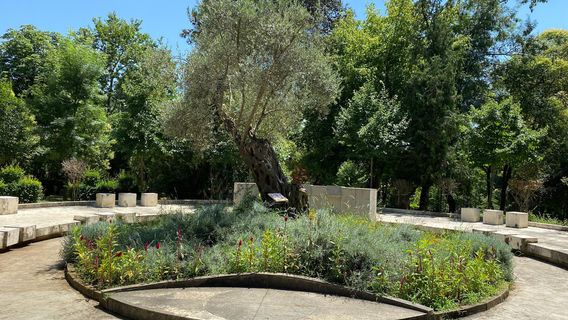 Tirana Lake Park