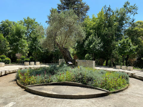 Tirana Lake Park