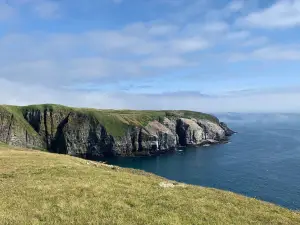 Cape St. Mary's Ecological Reserve