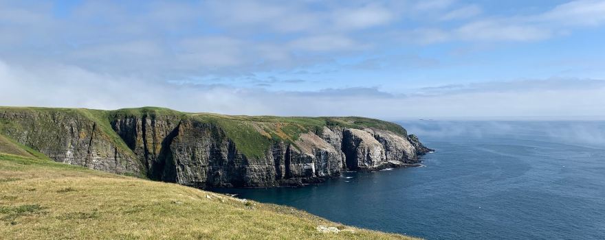 Cape St. Mary's Ecological Reserve