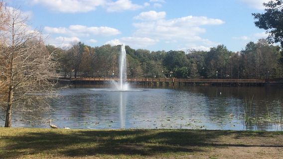 Lake Lily Park